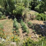 Maison 5 pièces / 125 m² / 298 000 € / CARMAUX